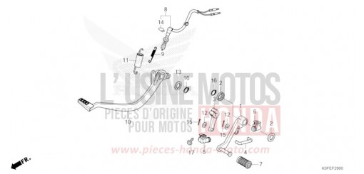 PEDAL Z125MAN de 2022